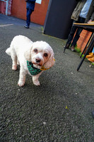 20251221_Motherwell-126
