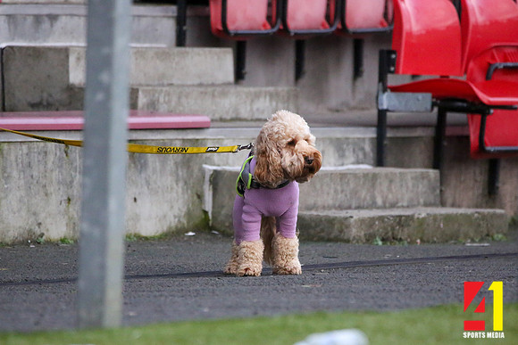 20220123_Celtic-008